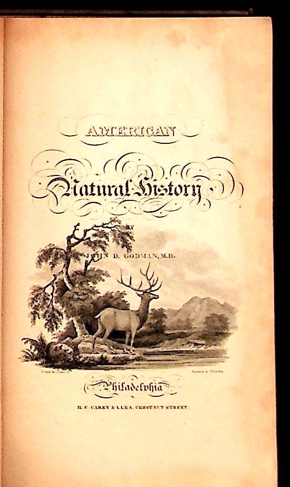 Item #10873 American Natural History: Volume II, Part I.- Mastology. John D. Godman.