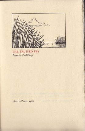 Item #20895 The Bruised Sky. Aralia Press, Fred Dings