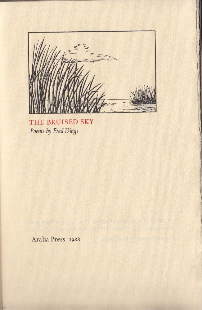 Item #20895 The Bruised Sky. Aralia Press, Fred Dings.