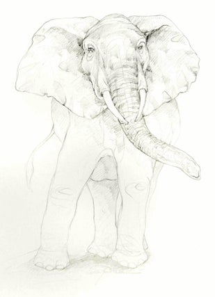 An Odd Bestiary, or a compendium of instructive and entertaining descriptions of animals, culled from five centuries of travelers' accounts, natural histories, zoologies, &tc., by authors famous and obscure, arranged as an Abecedary. Designed and illustrated by Alan James Robinson text compiled and annotated by Laurie Block. 2 Volumes