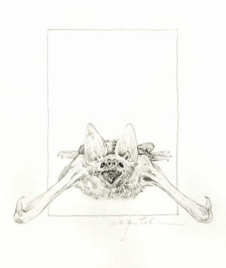 An Odd Bestiary, or a compendium of instructive and entertaining descriptions of animals, culled from five centuries of travelers' accounts, natural histories, zoologies, &tc., by authors famous and obscure, arranged as an Abecedary. Designed and illustrated by Alan James Robinson text compiled and annotated by Laurie Block. 2 Volumes