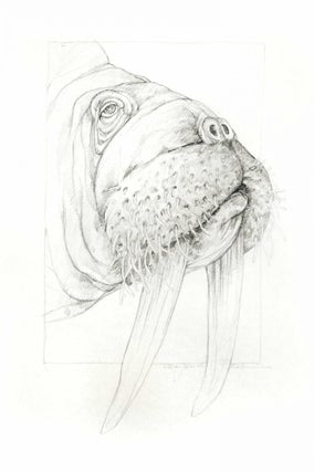 An Odd Bestiary, or a compendium of instructive and entertaining descriptions of animals, culled from five centuries of travelers' accounts, natural histories, zoologies, &tc., by authors famous and obscure, arranged as an Abecedary. Designed and illustrated by Alan James Robinson text compiled and annotated by Laurie Block. 2 Volumes