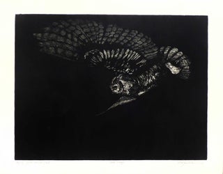 Item #31305 Flying Great Horned Owl [Original Print]. Cheloniidae Press, Alan James Robinson, artist