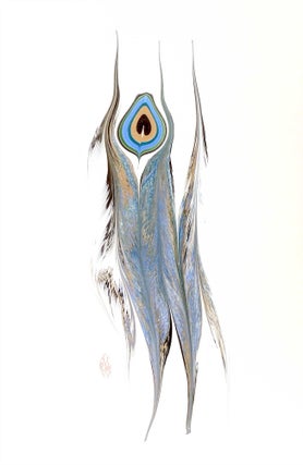 Item #31327 Peacock Feather Original Marbled Graphic. Robert Wu