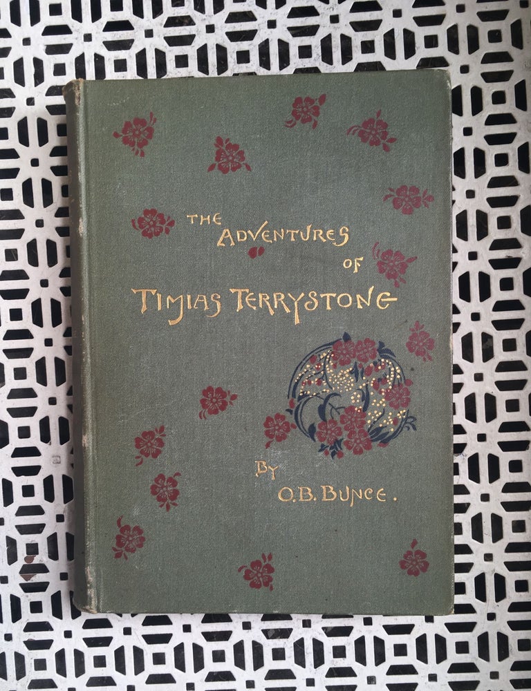 Item #31989 The Adventures of Timias Terrystone. Oliver Bell Bunce.