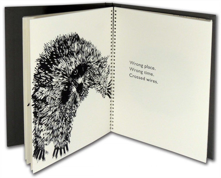 Item #33849 The Crow and the Raccoon: A Suburban Fable. The Big Crank Press, David Carl Anderson, author, book artist.
