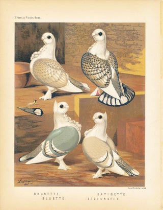 Item #34455 Cassell's Pigeon Book - "Brunette, Bluette, Satinette, Silverette" Pigeons. Cassell,...