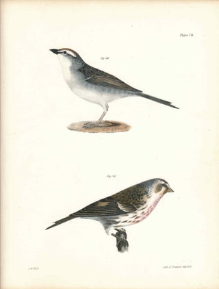 Item #34564 Bird print - Plate 70 from Zoology of New York, or the New-York Fauna. Part II Birds....
