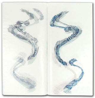 Four Emergent Forms: Visual Improvisation