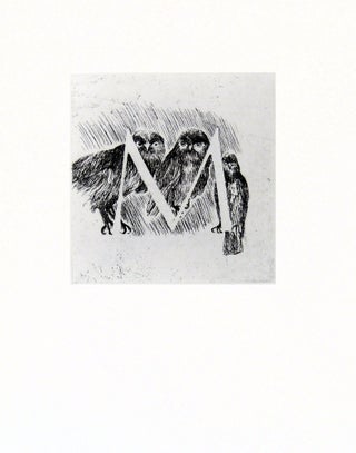 Vogel Totentanz: 29 Etchings
