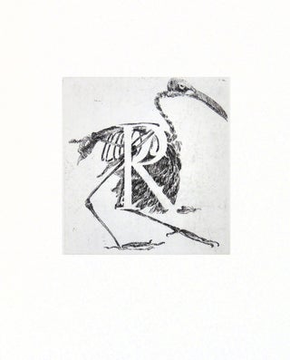 Vogel Totentanz: 29 Etchings