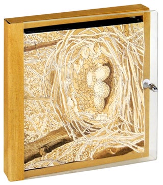 Item #35558 Journey. Thomas Parker Williams, book artist