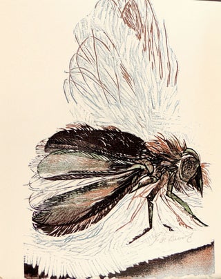 Sixteen Poems in Verse and Wood