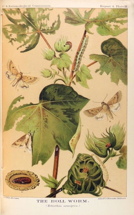 U.S. Department of Agriculture. Fourth Report of the United States Entomological Commission, Being a Revised Edition of Bulletin No. 3, and the Final Report on the Cotton Worm, Together with a Chaper on the Boll Worm
