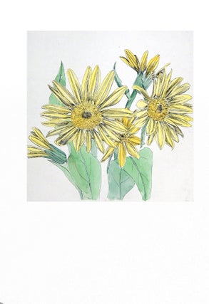 Wildflowers