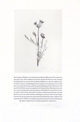 Wildflowers