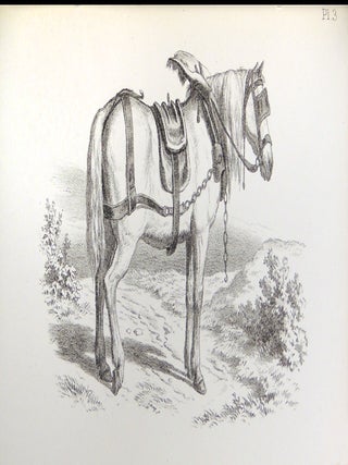 Collection of Works on Heraldry, Illumination, and Drawing including: Heraldry, and Heraldic Painting, A Manual of Illumination on Paper and Vellum, and A Guide to Animal Drawing for the Use of Landscape Painters