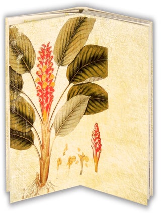 FL