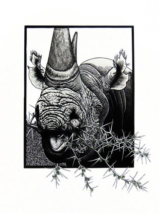 Extinct. The Western Black Rhinoceros