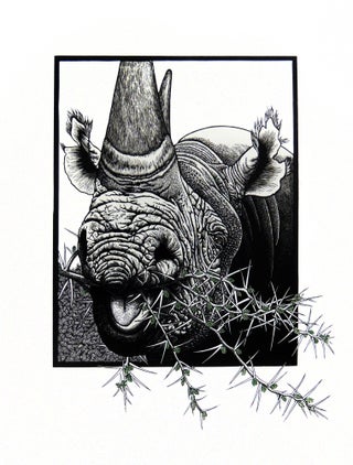 Extinct. The Western Black Rhinoceros