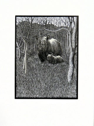 Extinct. The Western Black Rhinoceros