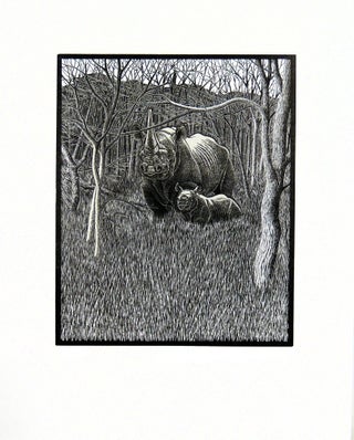 Extinct. The Western Black Rhinoceros