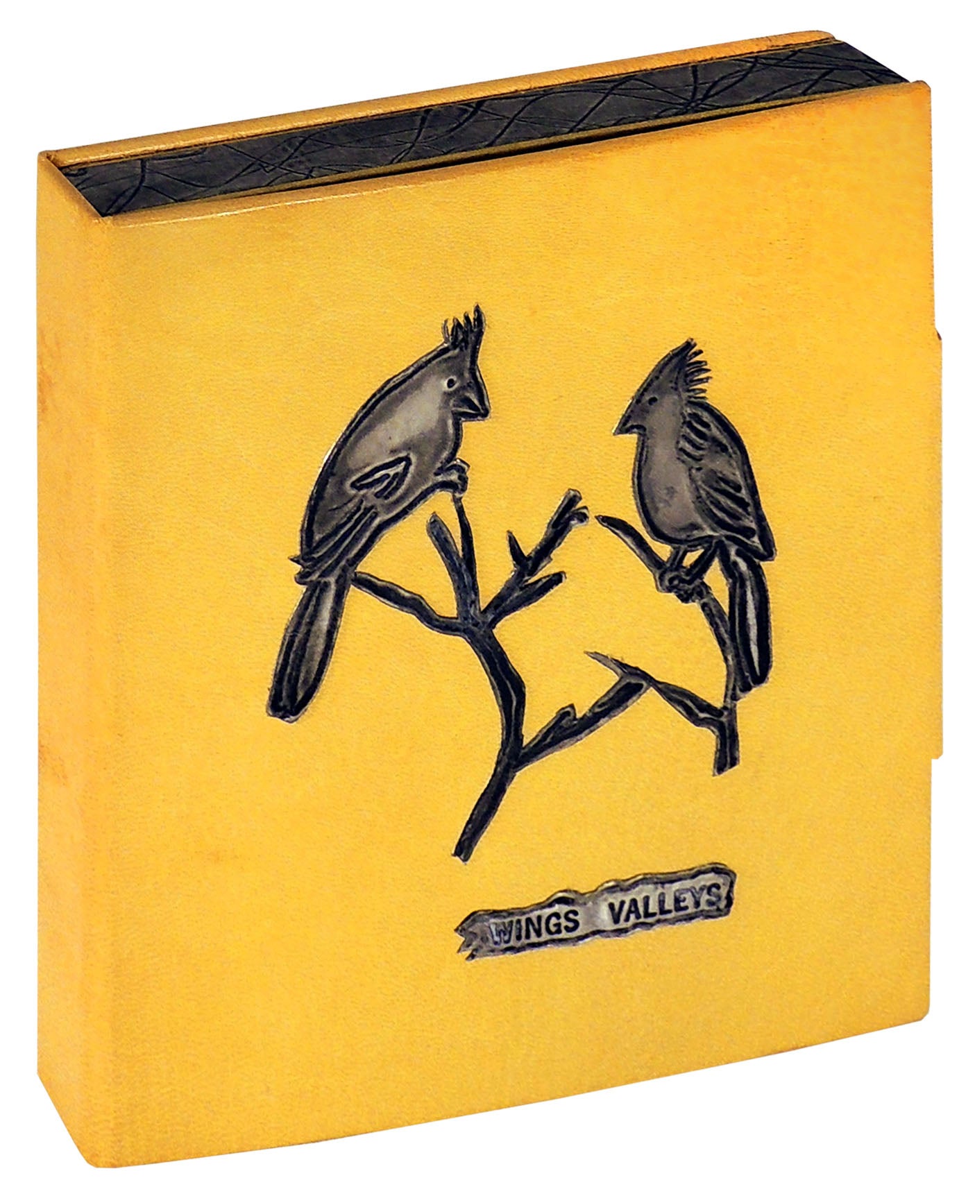 Wings Valleys by B atrice Coron book artist binding Monique Lallier on The Kelmscott Bookshop