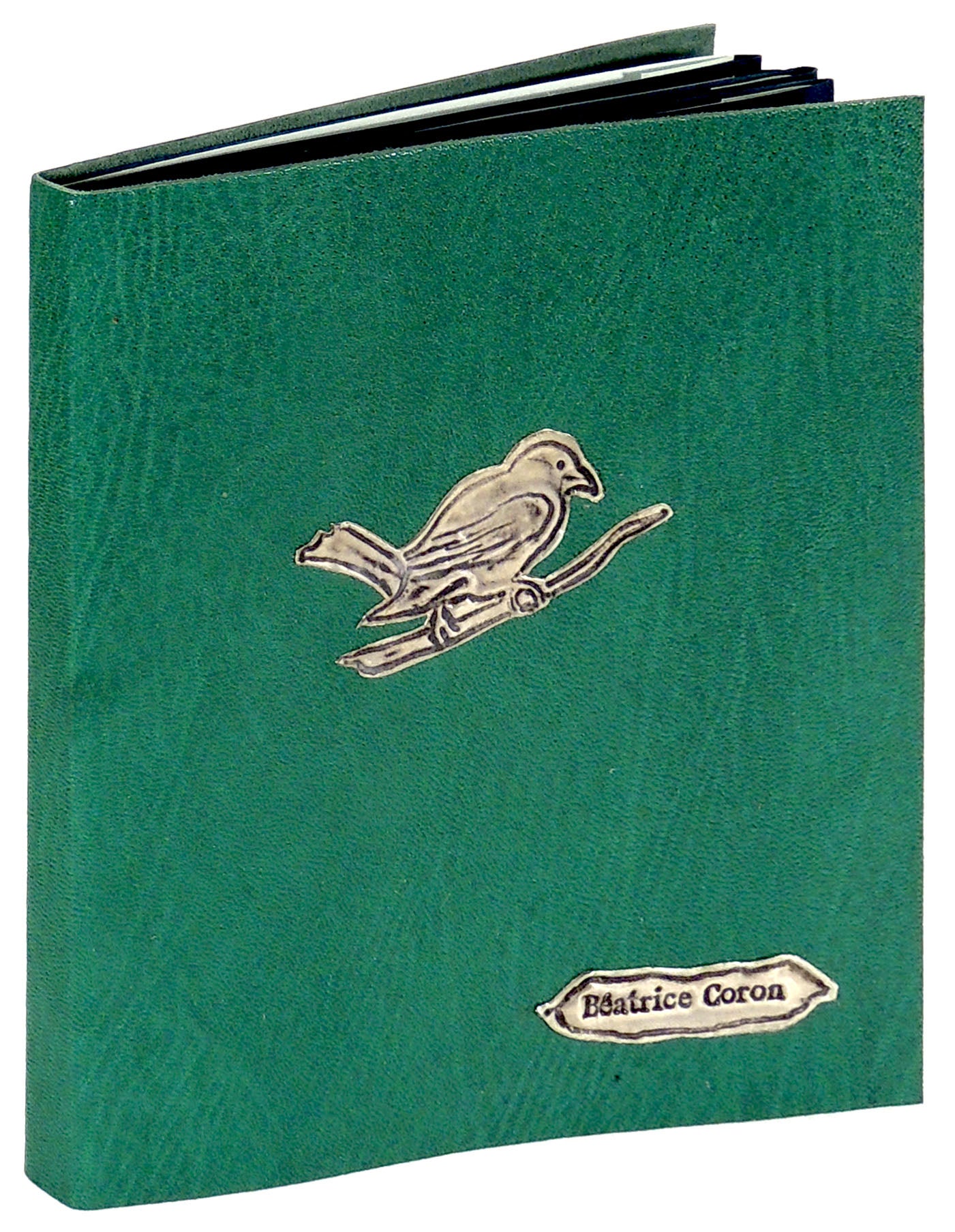 Wings Valleys by B atrice Coron book artist binding Monique Lallier on The Kelmscott Bookshop