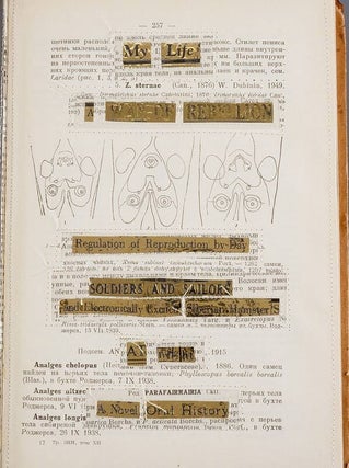 Poetical Minutes