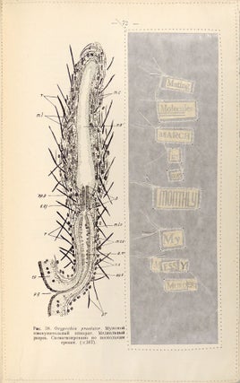 Poetical Minutes