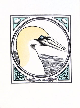 Item #37141 An Idea of Geometry: Celebrating the Gannets of Cape St. Mary's. Lone Oak Press,...