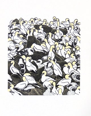 An Idea of Geometry: Celebrating the Gannets of Cape St. Mary's