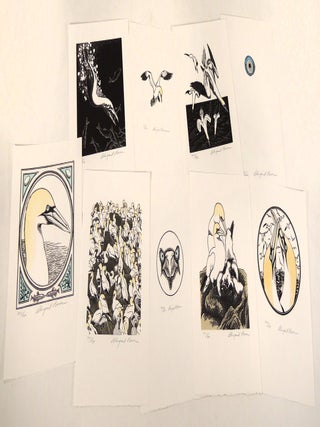 An Idea of Geometry: Celebrating the Gannets of Cape St. Mary's