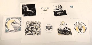 An Idea of Geometry: Celebrating the Gannets of Cape St. Mary's