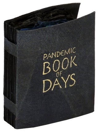Item #37221 Pandemic Book of Days. Jan Owen, book artist and calligrapher