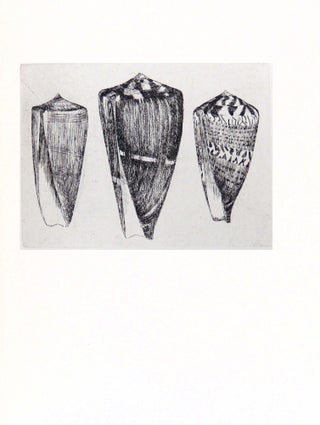 CONCHYLIORUM: On Investigating Shells and Collecting