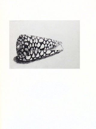 CONCHYLIORUM: On Investigating Shells and Collecting