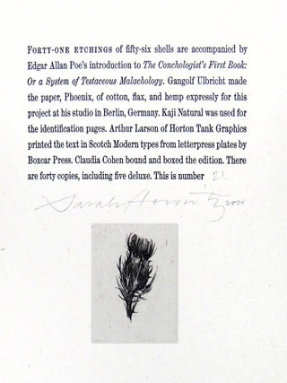 CONCHYLIORUM: On Investigating Shells and Collecting