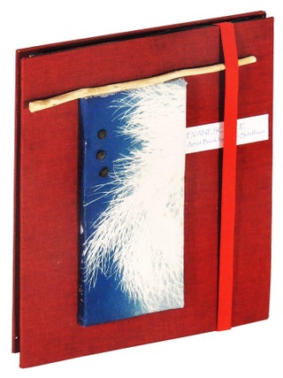 Item #37363 Evanescence. Ellen Schiffman, book artist