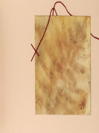 The Red Thread