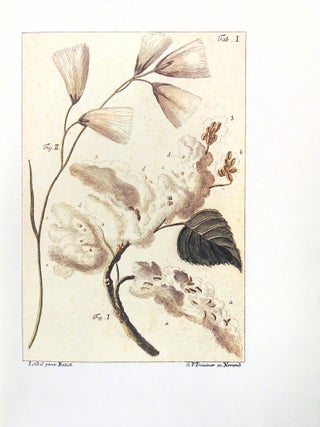 Pepper Pot