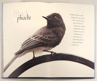 Dreams of Flight, The Nesting Season
