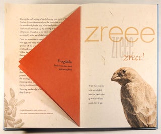Dreams of Flight, The Nesting Season