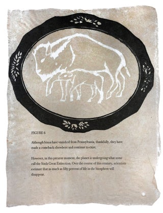 Bison Time