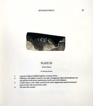 Retaining Walls: Surface Removal, Erosion, Resistance, and Recovery or Some Psychological Descriptions of Environmental I