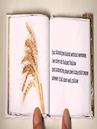 The Wind That Shakes the Barley