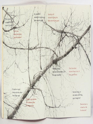 NY Dansk Poesi/New Danish Poetry