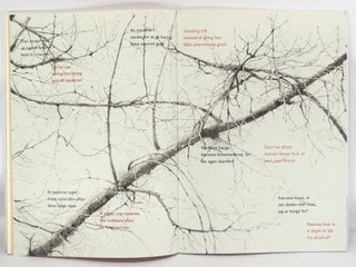 NY Dansk Poesi/New Danish Poetry