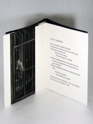 Poems for Democracy
