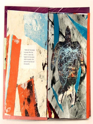 Turtle Book V11